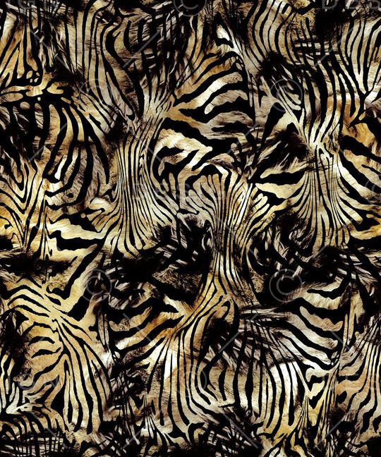 Fei-女装印花华亿平台图片