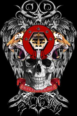 PP印花华亿平台图片