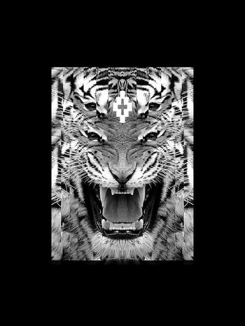 680419-838816073006a