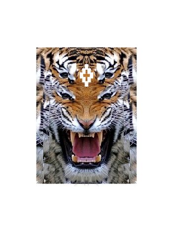 680421-838816073006c