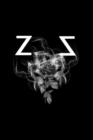 男装T桖胸花印花华亿平台图片