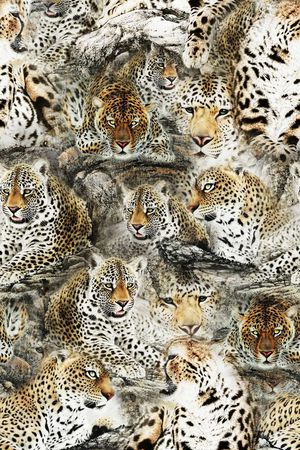 动物印花华亿平台图片