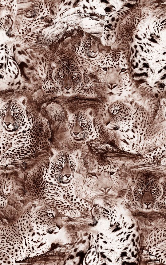 动物印花华亿平台图片