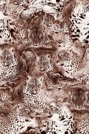 动物印花华亿平台图片