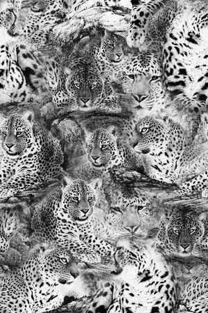 动物印花华亿平台图片