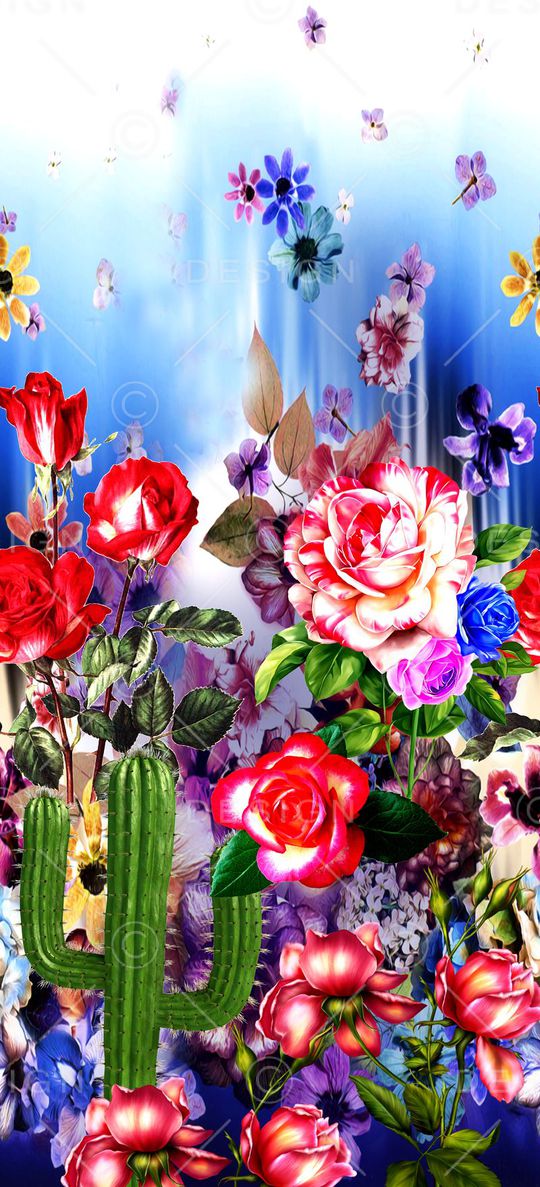 女装定位印花华亿平台图片