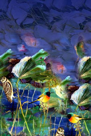 女装定位印花华亿平台图片