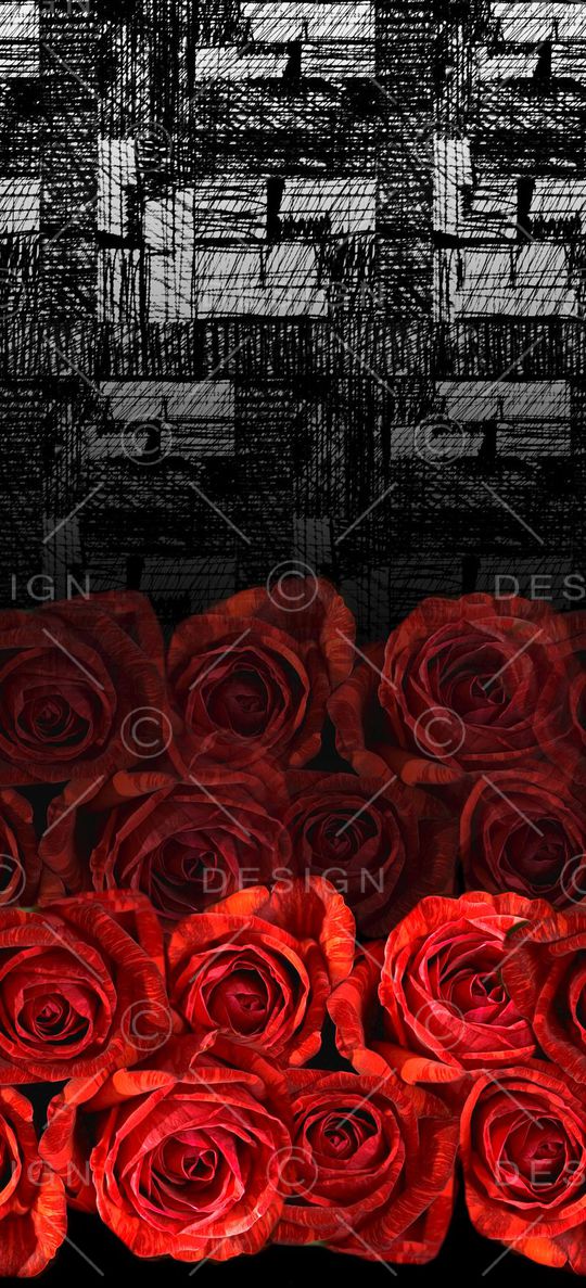 女装定位印花华亿平台图片