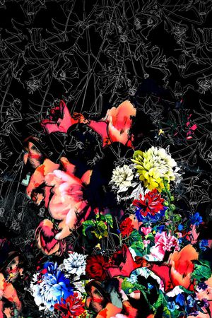 女装定位印花华亿平台图片