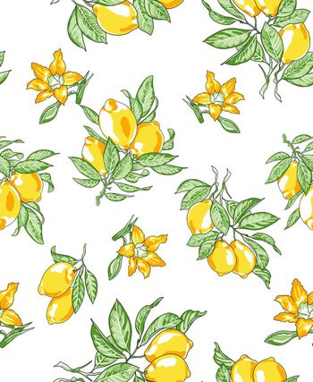 680531-20160734花卉和水果