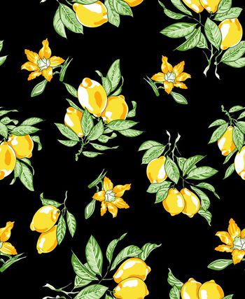 680532-20160734花卉和水果-2