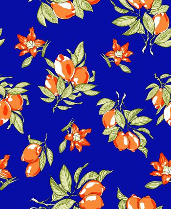 680533-20160734花卉和水果-3