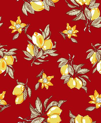 680534-20160734花卉和水果-4