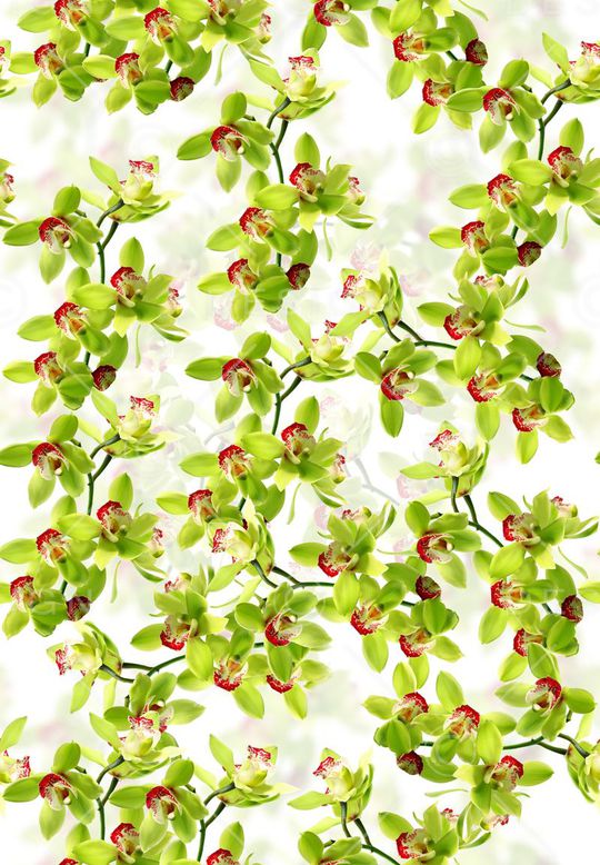 莫妮卡-大牌华亿平台印花华亿平台图片