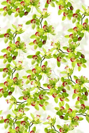 莫妮卡-大牌华亿平台印花华亿平台图片