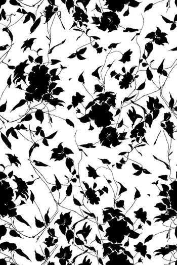 680729-黑白花卉2