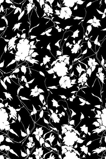 680730-黑白花卉3