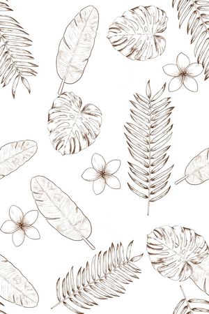 棕榈叶印花华亿平台图片