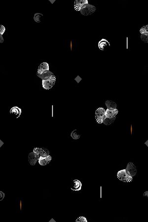 男装印花华亿平台图片