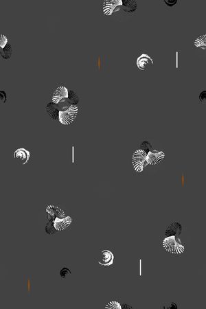 男装印花华亿平台图片