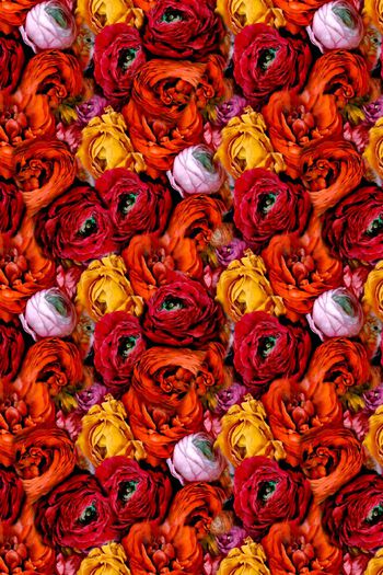 玫瑰印花华亿平台图片