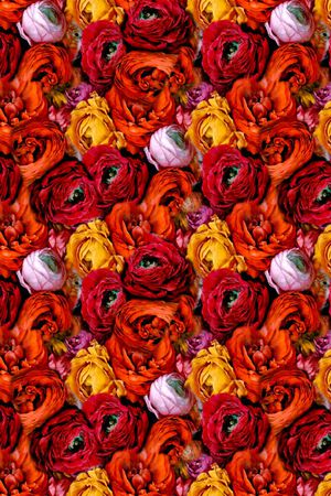 玫瑰印花华亿平台图片