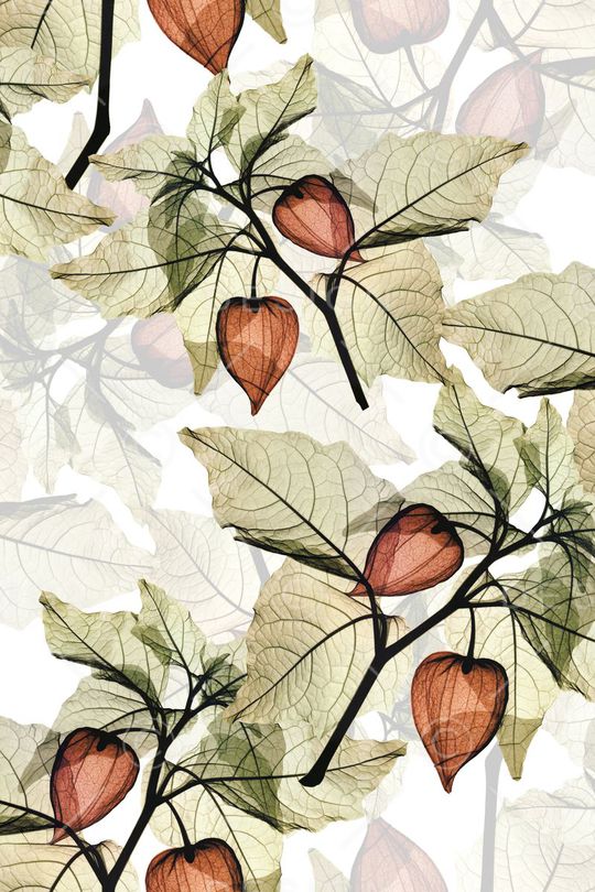 大花印花华亿平台图片