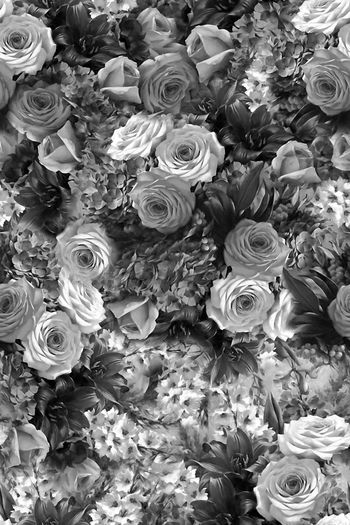 681083-wal-160730-2-1