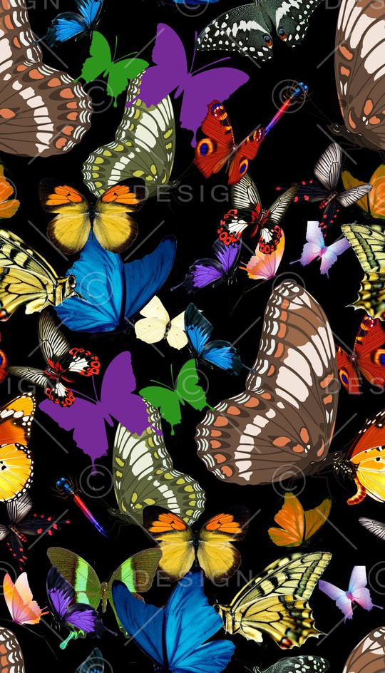 创意蝴蝶印花华亿平台图片