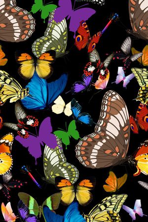 创意蝴蝶印花华亿平台图片