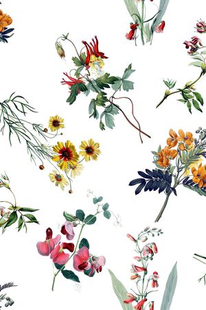 植物花卉印花华亿平台图片