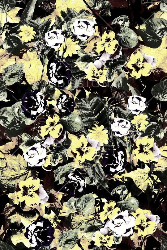 蝴蝶兰花卉印花华亿平台图片