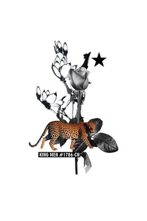 老虎印花华亿平台图片