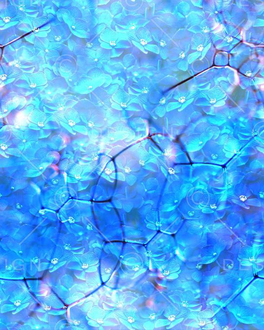 蓝色印花华亿平台图片