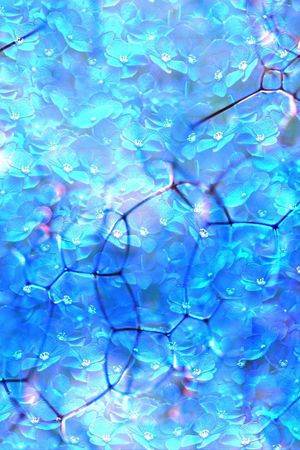 蓝色印花华亿平台图片