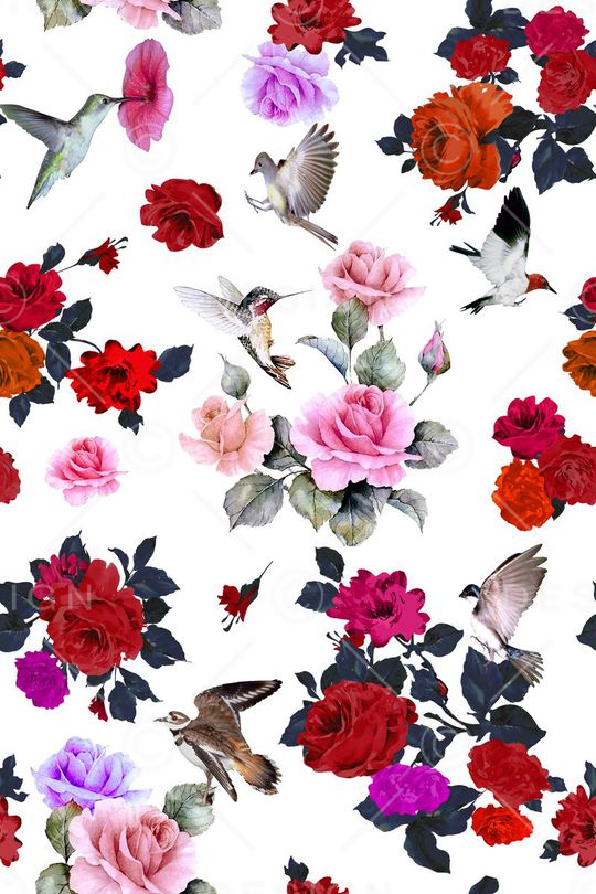 花鸟印花华亿平台图片