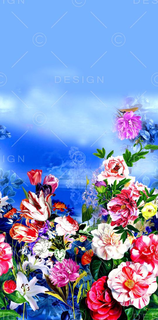 女装定位印花华亿平台图片