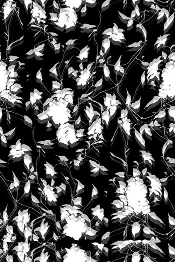 681693-花卉投影2