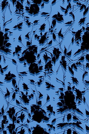 681694-花卉投影3