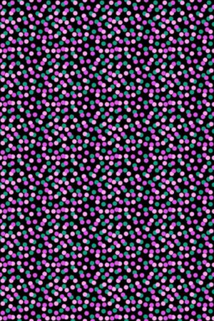 洋阳---男装印花华亿平台图片