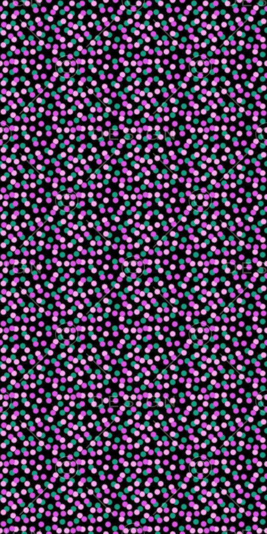 洋阳---男装印花华亿平台图片