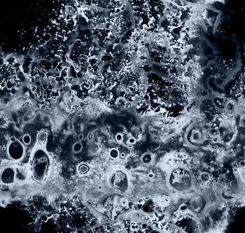 681799-fei-5576784-1