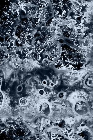 Fei-花纹肌理印花华亿平台图片