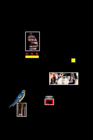 男装定位印花华亿平台图片