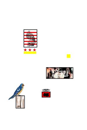 男装定位印花华亿平台图片