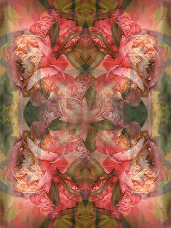 复古、几何、牡丹印花华亿平台图片