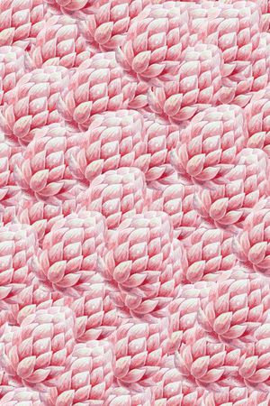 花朵印花华亿平台图片