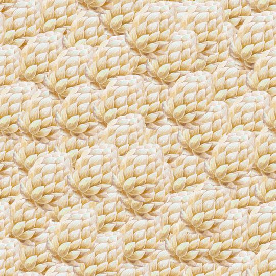 花朵印花华亿平台图片