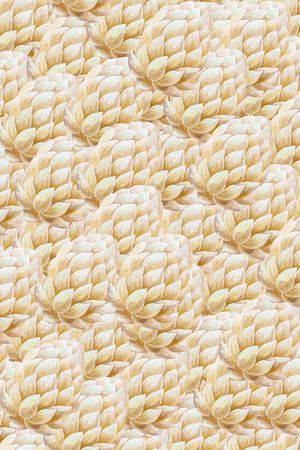 花朵印花华亿平台图片