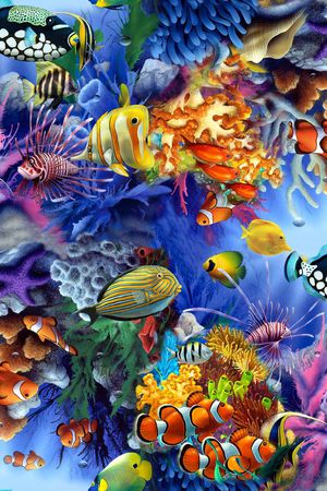 此华亿平台为1/2跳接印花华亿平台图片